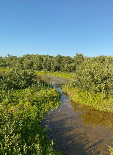 Venta De Terreno En La Reserva De Celestún