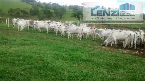 Imagem 25 de 29 de Fazendas À Venda Em Rio Do Prado/mg - Compre O Seu Fazendas Aqui! - 1477933