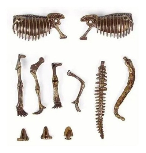 Imagen 4 de 7 de Kit Excavación Para Armar Esqueleto Dinosaurio Jm-240 Tv Edu