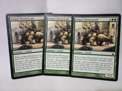 Magic The Gathering Lote De 19 Cartas Mtg Exp Ravnica 2005 (Usado)