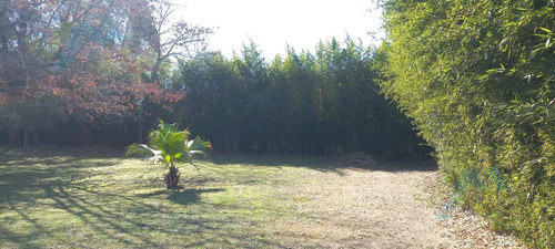 Venta De Terreno En La Lonja Pilar 720 Mtros