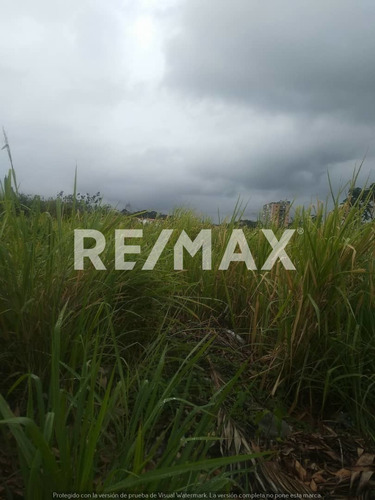 Imagen 4 de 8 de Venta De Terreno En Higuerote