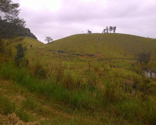 Imagem 5 de 30 de Fazenda - 0195 - 32820324