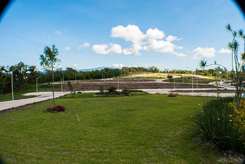 Imagen 6 de 11 de Terrenos- Residencial La Molienda, Todos Los Servicios, Financiamiento Hasta 1 Año