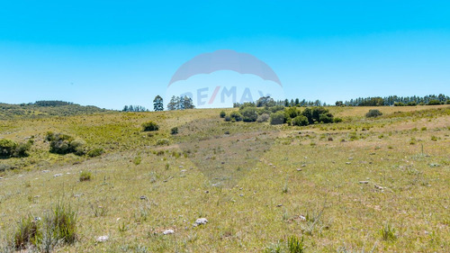 Chacras En Venta Ruta 39 San Carlos - Oportunidad!