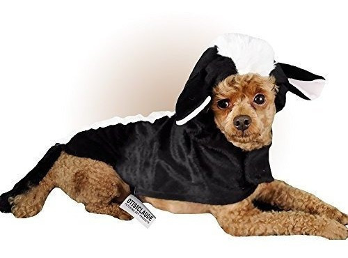 Disfraz Casual Canino Para Perros Malolientes X-large