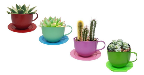 4 Macetas Tipo Taza Plato Escurridor Multicolores Plástico