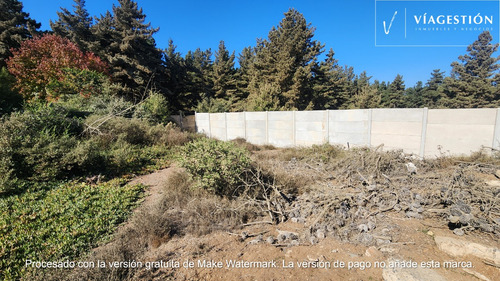 Terreno En Reñaca Con Excelente Ubicación Y Conectividad