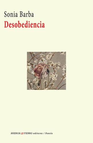 Desobediencia, De Barba Calleja, Sonia. Editorial Huerga Y Fierro Editores, Tapa Blanda En Español