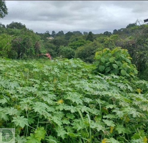 Imagem 4 de 9 de Terreno Em Condomínio Na Granja Vianna - Di29286