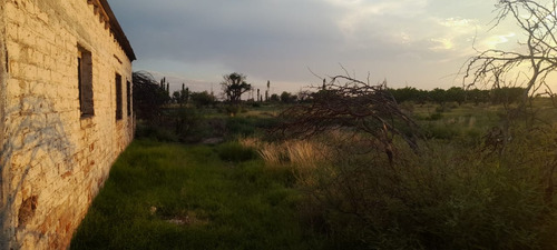 Finca 12.5 Ha. Gral. Alvear Mza. Financio. Tomo Vehículo.