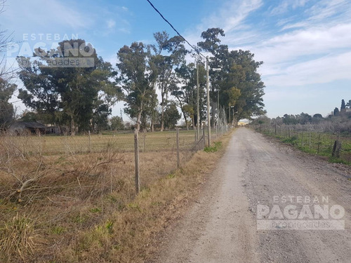 Imagen 7 de 7 de Terreno - Joaquin Gorina