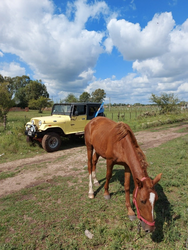 Jeep Jeep Ika Jeep Ika 4x4 Full