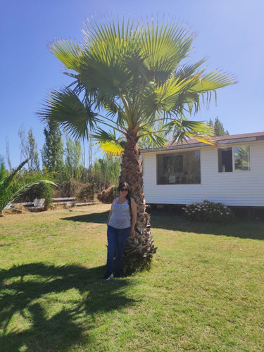 Se Arrienda Casa A Orilla Lago Rapel