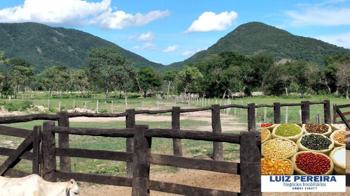 Fazenda À Venda Em Porto Murtinho - Ms - De 1.917 Hectares (pecuária) - 1635