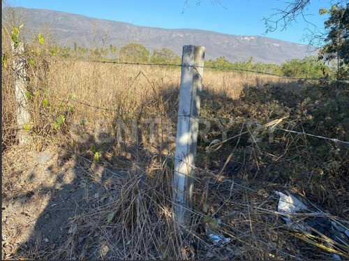 Terreno Carretera Colima-mnzllo, Km 33.5 Tecolapa, Tecomán, Colima