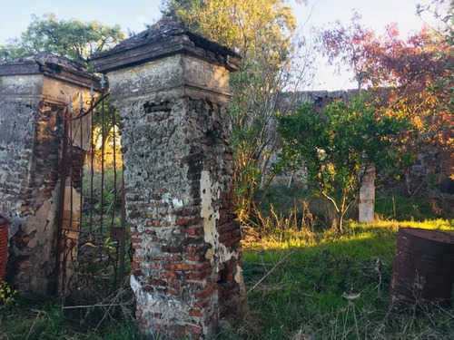 Dueño Vende 18 Hectáreas Campo En La Zona De Canelón Chico