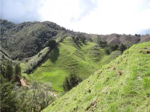Finca En Venta La Unión Via Abejorral Antioquia. 83 Hectareas
