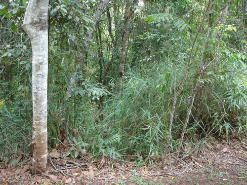 Imagem 4 de 12 de Lotes Em Condomínio Para Comprar No Green Park Em Nova Lima/mg - 2285