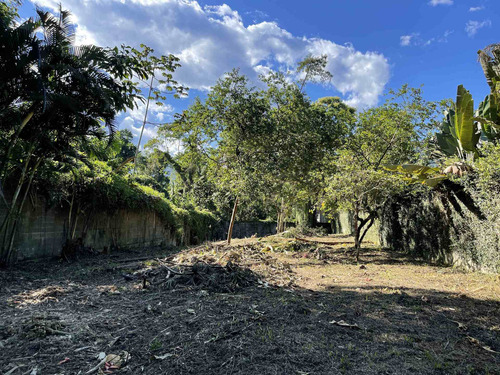 Imagem 2 de 2 de Lote De 975m² Na Área Comercial Na Praia De Itamambuca - 41263