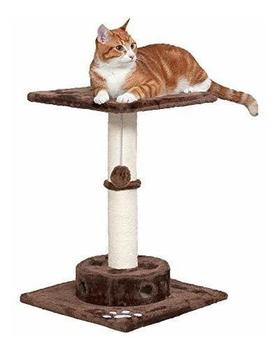 Tiger Tough Scratching Posts Cat Furniture O Cat Hammock Scr