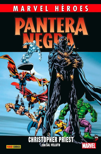 Marvel Héroes Pantera Negra De Christopher Priest 2 - Panini