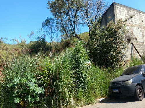 Imagem 3 de 5 de Terreno - Te00064 - 70276321