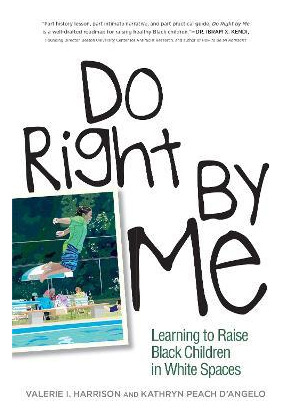 Libro Do Right By Me : Learning To Raise Black Children I...