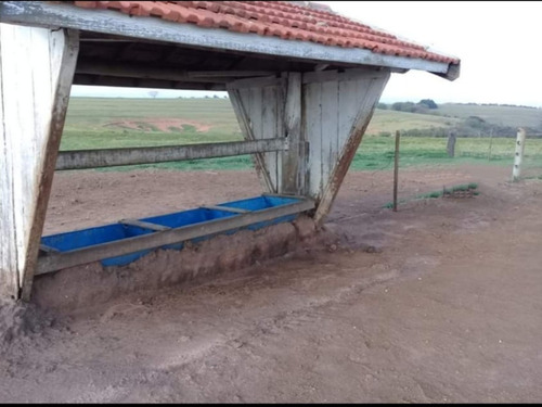 Fazenda À Venda Em Echaporã/sp - Fa00122 - 69026868