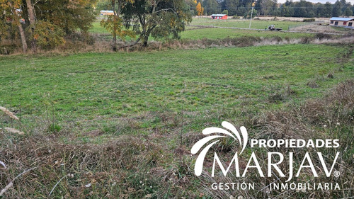 (3161) Parcela De 5000 M2 En Quetroco. Camino Licanray