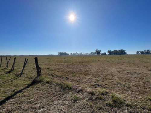 Imagen 2 de 7 de Venta - Fracción Ruta 47 - Luján