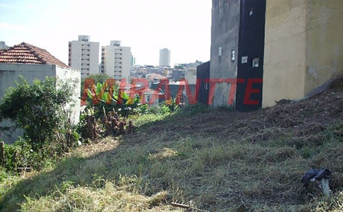Imagem 8 de 8 de Terreno Em Tucuruvi - São Paulo, Sp - 85961
