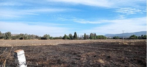 Imagen 21 de 26 de Terreno En Venta Para Inversionistas En La Localidad De Jofrito En Querètaro.