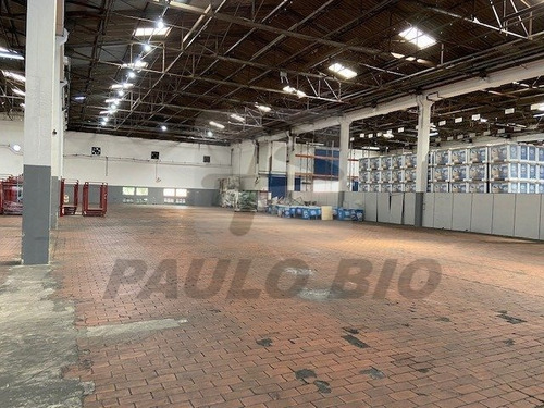 Imagem 9 de 11 de Galpao Em Condominio - Parque Jacatuba - Ref: 7954 - L-7954