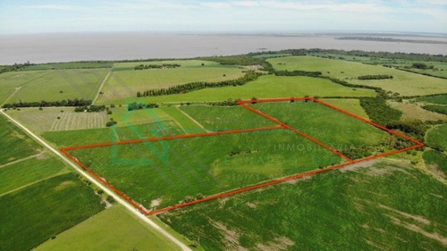Imagen 8 de 13 de Martin Chico, Colonia - Campo Agricola Con Vista Al Rio De La Plata