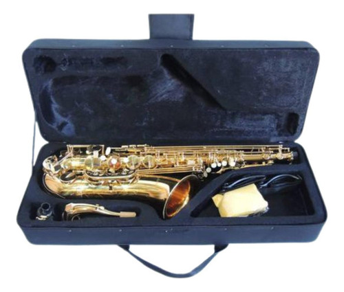 Sax Alto Dreamer Em Eb Niquelado Ft6430l