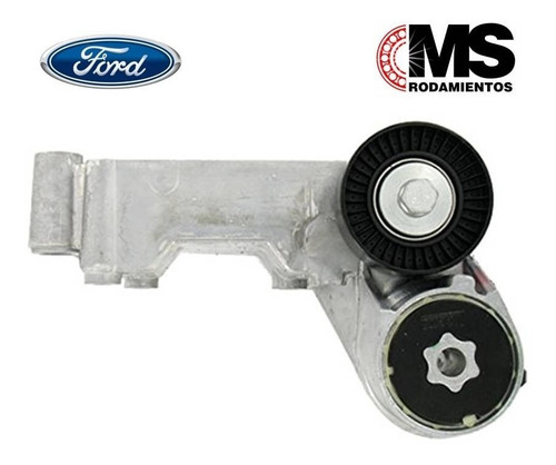 Tensor De Correa Poly V Ford Focus 1.8 Tdci / Td