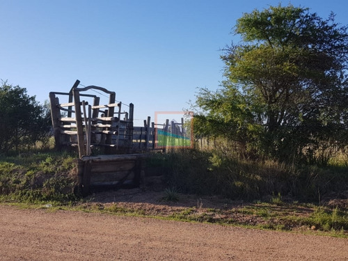 Imagen 2 de 12 de Chacra En Los Ceibos 4 Hás