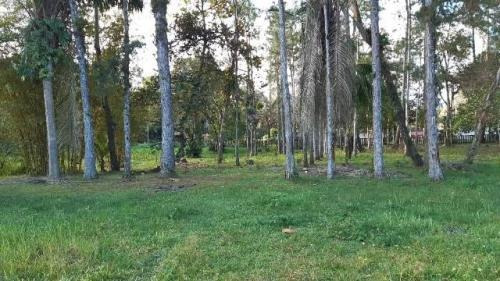 Imagem 9 de 12 de Chácara Ampla, Na Praia Com 4 Quartos E Casa De Caseiro!