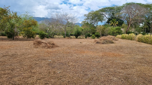 Lote Independiente En Venta En Santa Fe De Antioquia