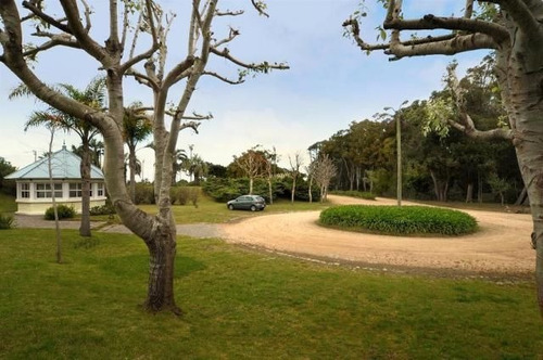 Imagen 2 de 16 de Terreno En Venta En Laguna Blanca