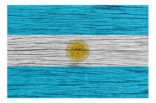 Vinilo 40x60cm Bandera Argentina Patria Nacion Celeste P1