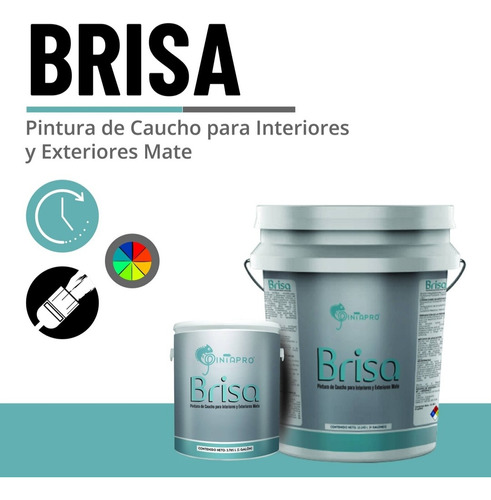 Pintura De Caucho Clase B Mate Blanco Interior / Exterior