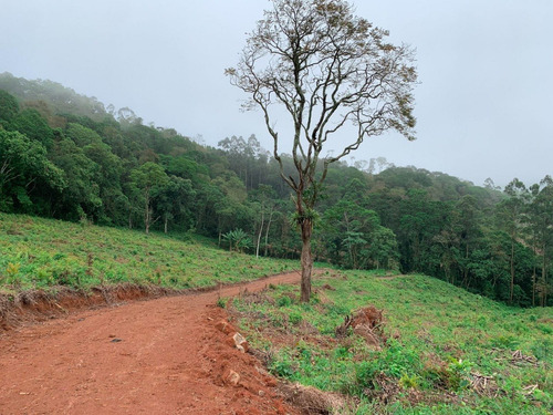 Imagem 11 de 14 de A26 Terreno Com Otima Negociação
