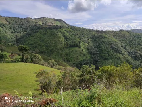 Vendo Finca Ganadera Cerca A La Cabecera De Armenia Mantequilla Ant.