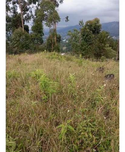 Venta De Lote En Guarne