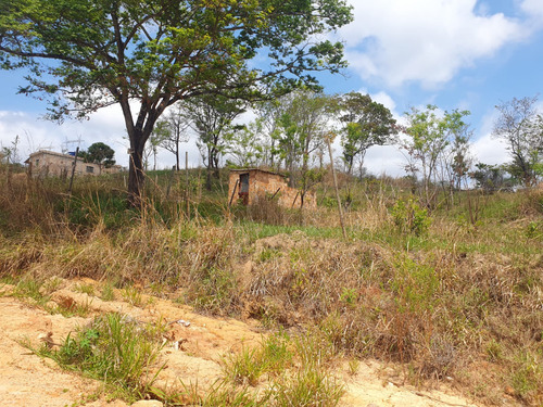 Vendo Lote De 360m2 Barato
