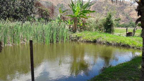 Imagen 5 de 11 de Vendo Espectacular Finca En Chirgua-carabobo (0414-0784274)
