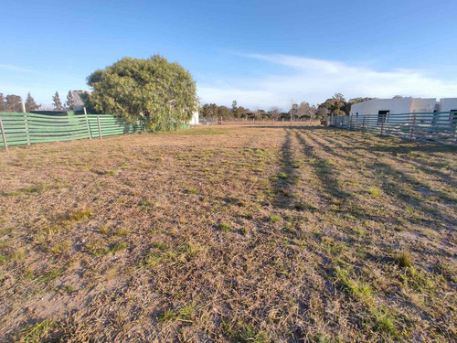 Imagen 4 de 11 de Venta Lote Interno De 937m2 - San Sebastian