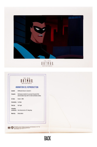 Mcfarlane Toys - Dc Direct Nightwing (new Batman Adventures)